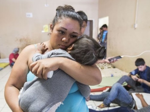 Mirgrant Caravan (Credit Gannet)